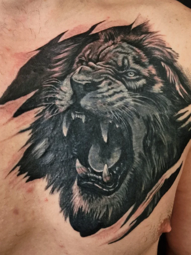 Tetování na hrudi, lev, cover up tetování